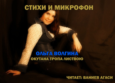 Волгина Ольга - Стихи и микрофон. 🎧 Слушайте книги онлайн бесплатно на knigavushi.com