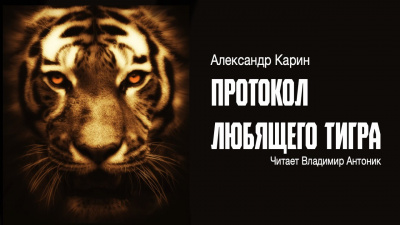 Карин Александр - Протокол любящего тигра 🎧 Слушайте книги онлайн бесплатно на knigavushi.com