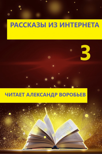 Неизвестный автор - Рассказы из интернета 3 🎧 Слушайте книги онлайн бесплатно на knigavushi.com