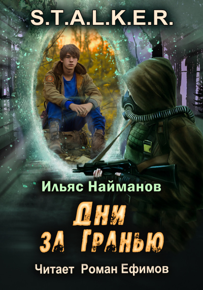 Найманов Ильяс - S.T.A.L.K.E.R. Дни за Гранью 🎧 Слушайте книги онлайн бесплатно на knigavushi.com