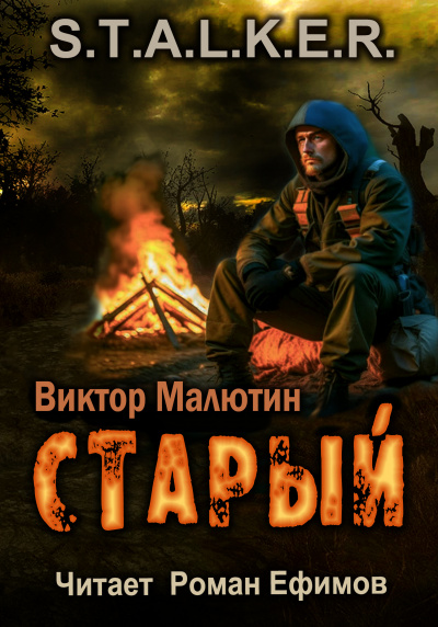 Малютин Виктор - S.T.A.L.K.E.R. Старый 🎧 Слушайте книги онлайн бесплатно на knigavushi.com