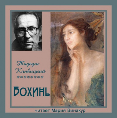 Конвицкий Тадеуш - Бохинь 🎧 Слушайте книги онлайн бесплатно на knigavushi.com