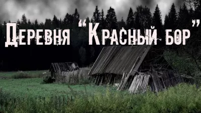 Скоркина Юлия - Деревня Красный бор 🎧 Слушайте книги онлайн бесплатно на knigavushi.com