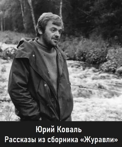 Юрий Коваль - Рассказы из сборника «Журавли» 🎧 Слушайте книги онлайн бесплатно на knigavushi.com