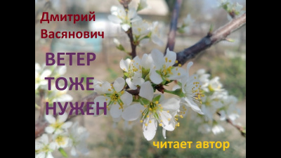 Васянович Дмитрий - Ветер тоже нужен 🎧 Слушайте книги онлайн бесплатно на knigavushi.com