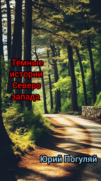 Погуляй Юрий - Тёмные истории северо-запада 🎧 Слушайте книги онлайн бесплатно на knigavushi.com