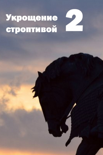 Герасимов Михаил - Укрощение строптивой - 2, или Авантюрные сценки из рыцарских времён 🎧 Слушайте книги онлайн бесплатно на knigavushi.com