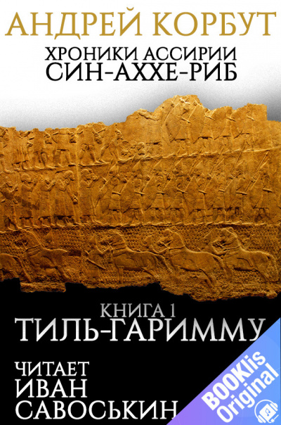 Корбут Андрей - Тиль Гаримму 🎧 Слушайте книги онлайн бесплатно на knigavushi.com