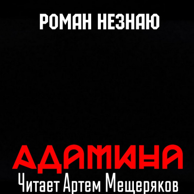 Незнаю Роман - Адамина 🎧 Слушайте книги онлайн бесплатно на knigavushi.com