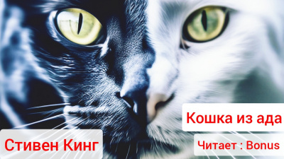 Кинг Стивен - Кошка из ада 🎧 Слушайте книги онлайн бесплатно на knigavushi.com