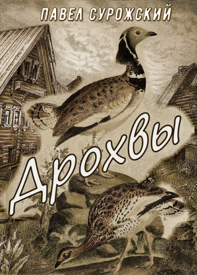 Сурожский Павел - Дрохвы 🎧 Слушайте книги онлайн бесплатно на knigavushi.com