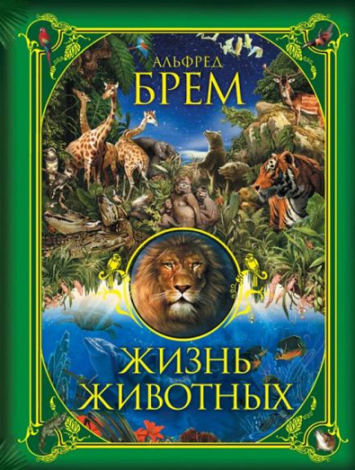 Брэм Альфред - Жизнь животных 🎧 Слушайте книги онлайн бесплатно на knigavushi.com