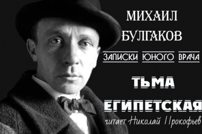 Булгаков Михаил - Тьма египетская 🎧 Слушайте книги онлайн бесплатно на knigavushi.com