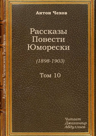 Чехов Антон - Случай из практики 🎧 Слушайте книги онлайн бесплатно на knigavushi.com