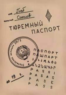 Соколов Глеб - Тюремный паспорт. Часть 6 🎧 Слушайте книги онлайн бесплатно на knigavushi.com