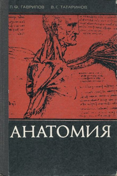 Гаврилов Леопольд, Татаринов Василий - Анатомия 🎧 Слушайте книги онлайн бесплатно на knigavushi.com