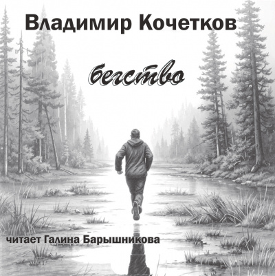 Кочетков Владимир - Бегство 🎧 Слушайте книги онлайн бесплатно на knigavushi.com