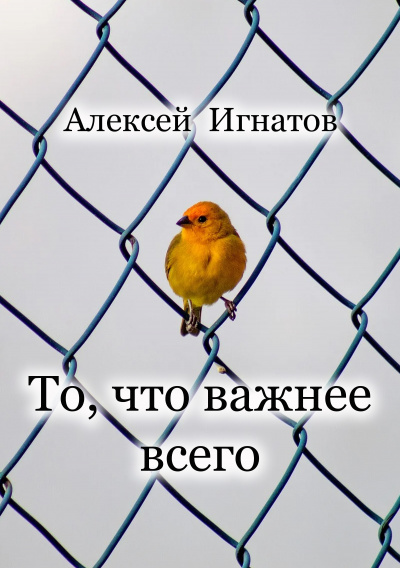 Игнатов Алексей - То, что важнее всего 🎧 Слушайте книги онлайн бесплатно на knigavushi.com