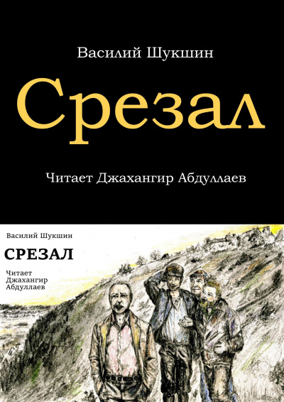 Шукшин Василий - Срезал 🎧 Слушайте книги онлайн бесплатно на knigavushi.com