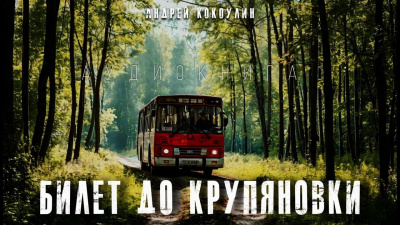 Кокоулин Андрей – Билет до Крупяновки 🎧 Слушайте книги онлайн бесплатно на knigavushi.com