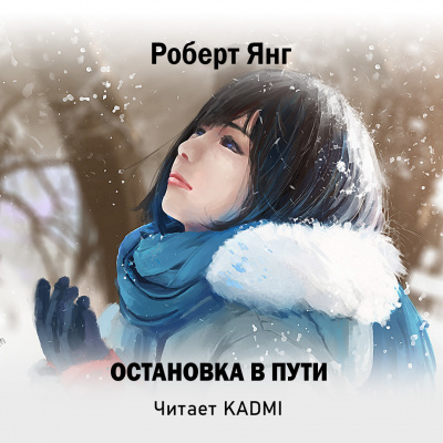 Янг Роберт - Остановка в пути 🎧 Слушайте книги онлайн бесплатно на knigavushi.com