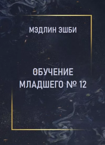 Эшби Мэдлин – Обучение Младшего № 12 🎧 Слушайте книги онлайн бесплатно на knigavushi.com