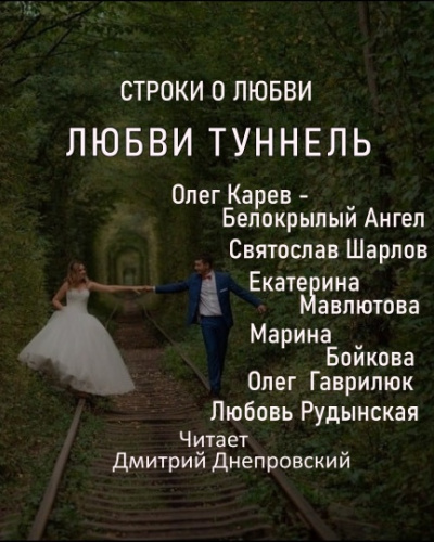 Любви туннель 🎧 Слушайте книги онлайн бесплатно на knigavushi.com