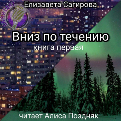 Сагирова Елизавета - Вниз по течению. Книга 1 🎧 Слушайте книги онлайн бесплатно на knigavushi.com