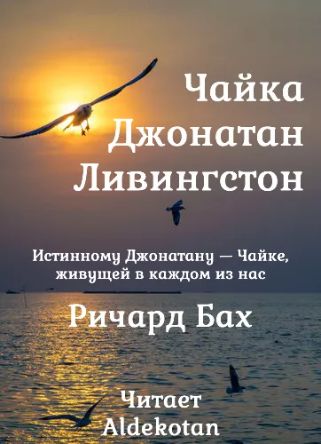 Бах Ричард – Чайка по имени Джонатан Ливингстон 🎧 Слушайте книги онлайн бесплатно на knigavushi.com