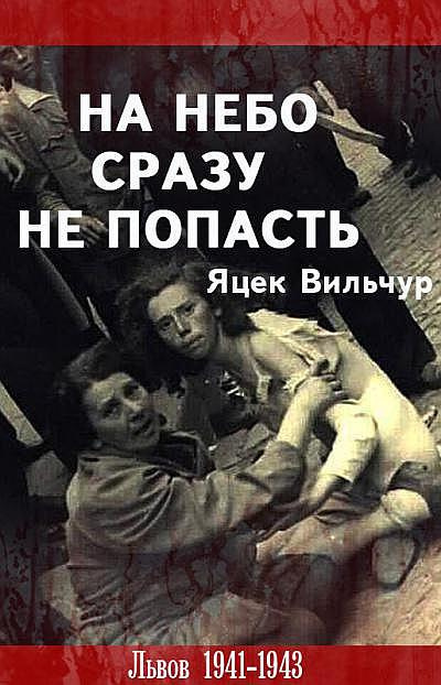 Вильчур Яцек - На небо сразу не попасть 🎧 Слушайте книги онлайн бесплатно на knigavushi.com