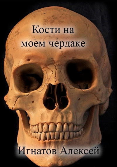 Игнатов Алексей – Кости на моем чердаке 🎧 Слушайте книги онлайн бесплатно на knigavushi.com