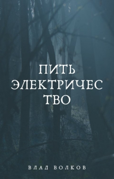 Волков Влад – Пить электричество 🎧 Слушайте книги онлайн бесплатно на knigavushi.com