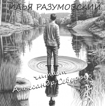 Разумовский Илья - Отражение 🎧 Слушайте книги онлайн бесплатно на knigavushi.com