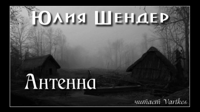 Шендер Юлия - Антенна 🎧 Слушайте книги онлайн бесплатно на knigavushi.com