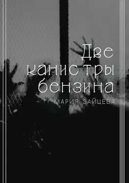 Зайцева Мария – Две канистры бензина 🎧 Слушайте книги онлайн бесплатно на knigavushi.com