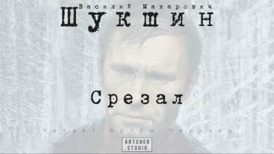 Шукшин Василий - Срезал 🎧 Слушайте книги онлайн бесплатно на knigavushi.com