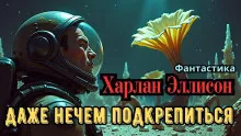 Эллисон Харлан – Даже нечем подкрепиться 🎧 Слушайте книги онлайн бесплатно на knigavushi.com