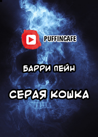 Пейн Барри - Серая кошка 🎧 Слушайте книги онлайн бесплатно на knigavushi.com