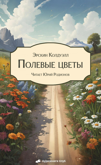Колдуэлл Эрскин – Полевые цветы 🎧 Слушайте книги онлайн бесплатно на knigavushi.com