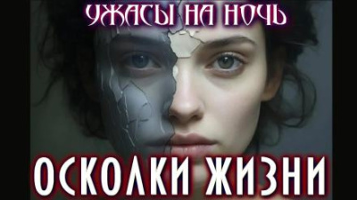 Димерски Мэтт – Осколки жизни Слушайте книги онлайн бесплатно на knigavushi.com