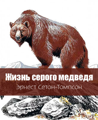 Сетон-Томпсон Эрнест – Жизнь серого медведя Слушайте книги онлайн бесплатно на knigavushi.com