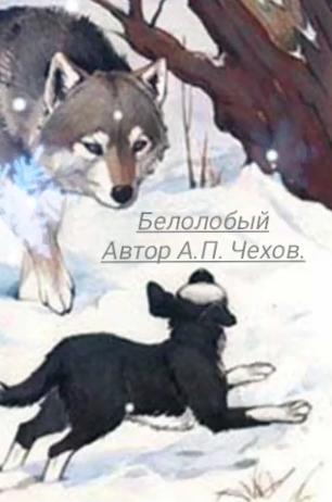 Чехов Антон – Белолобый Слушайте книги онлайн бесплатно на knigavushi.com