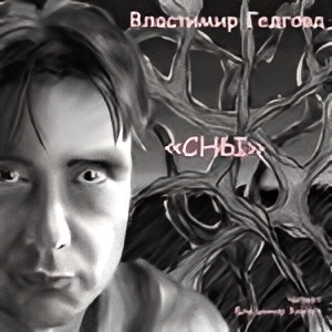 Гедговд Властимир – Серия СНЫ Слушайте книги онлайн бесплатно на knigavushi.com