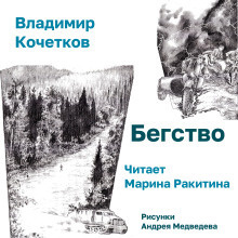 Кочетков Владимир – Бегство Слушайте книги онлайн бесплатно на knigavushi.com