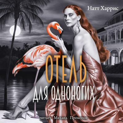 Данимира То (Натт Харрис) – Отель для одноногих ПУБЛИКАЦИЯ (вечер 18-20 авг.) Слушайте книги онлайн бесплатно на knigavushi.com