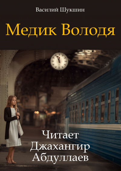Шукшин Василий – Медик Володя Слушайте книги онлайн бесплатно на knigavushi.com