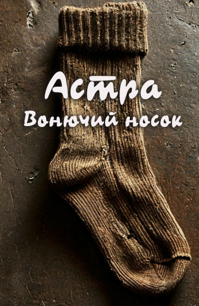 Астра – Вонючий носок Слушайте книги онлайн бесплатно на knigavushi.com