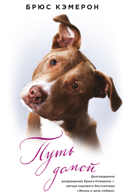 Кэмерон Брюс – Путь домой Слушайте книги онлайн бесплатно на knigavushi.com