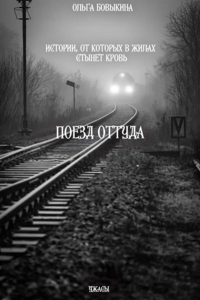 Бовыкина Ольга – Поезд Оттуда Слушайте книги онлайн бесплатно на knigavushi.com