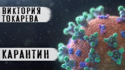 Токарева Виктория – Карантин Слушайте книги онлайн бесплатно на knigavushi.com